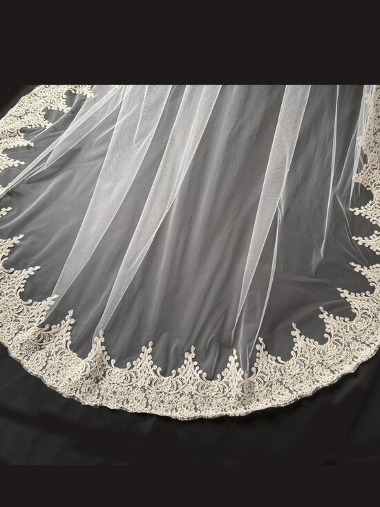 Cathedral Bridal Veil English Net Alençon Lace Beaded Pearl Veil Antique White main image 12